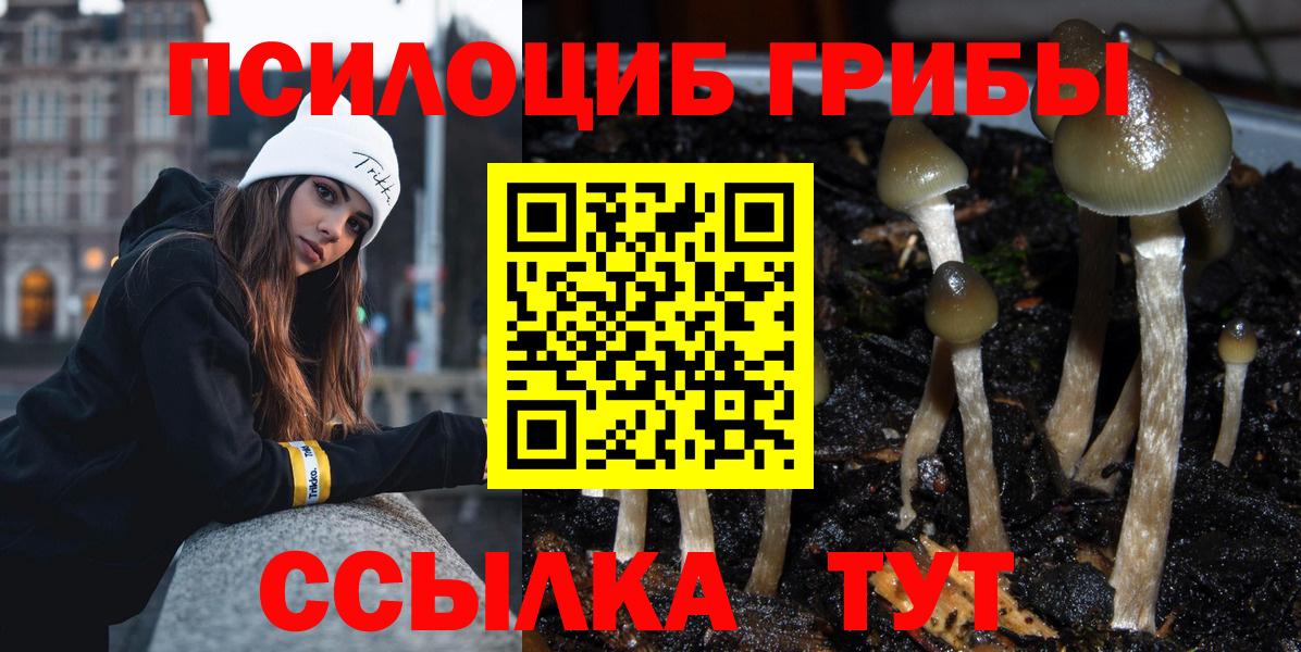 Галлюциногенные грибы Magic Shrooms  Вход с VPN  Учалы  где купить   Галлюциногенные грибы Psilocybe 